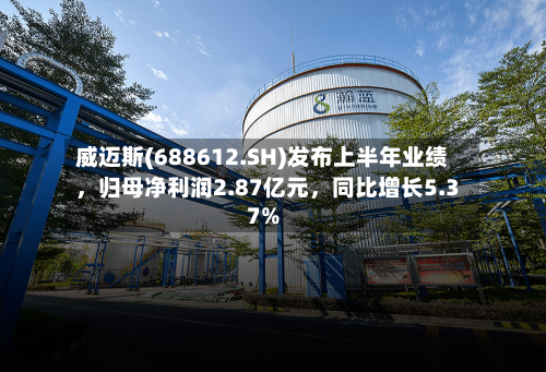 威迈斯(688612.SH)发布上半年业绩，归母净利润2.87亿元，同比增长5.37%-第3张图片