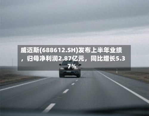 威迈斯(688612.SH)发布上半年业绩，归母净利润2.87亿元	，同比增长5.37%-第2张图片