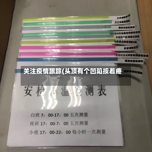 关注疫情跟踪(头顶有个凹陷按着疼)-第2张图片
