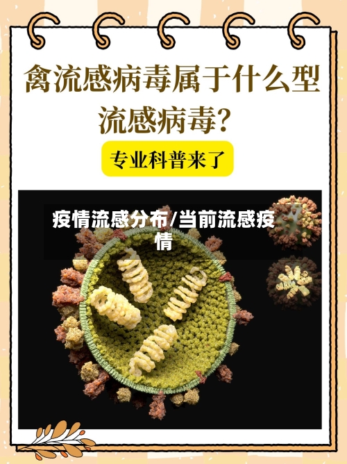 疫情流感分布/当前流感疫情-第2张图片