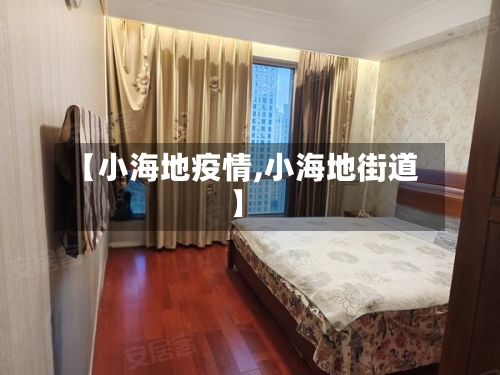 【小海地疫情,小海地街道】-第2张图片