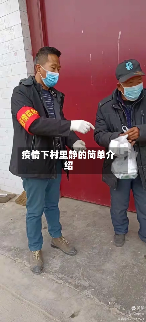 疫情下村里静的简单介绍