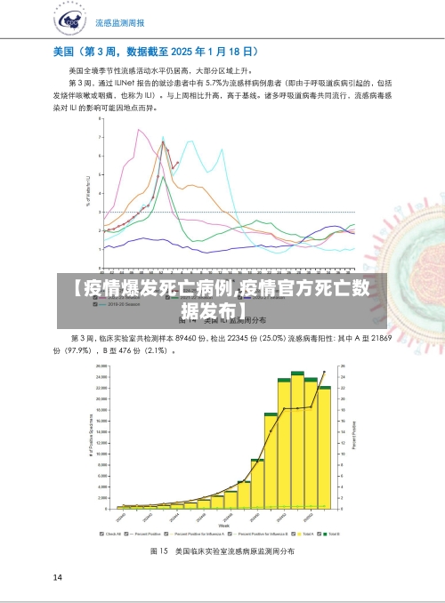 【疫情爆发死亡病例,疫情官方死亡数据发布】-第2张图片