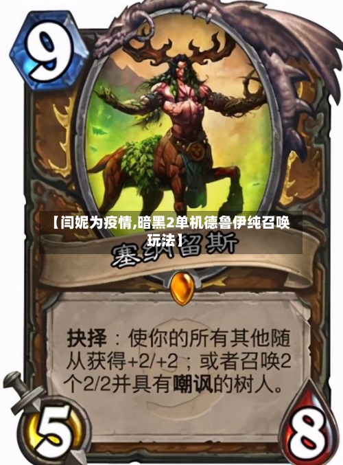 【闫妮为疫情,暗黑2单机德鲁伊纯召唤玩法】-第3张图片