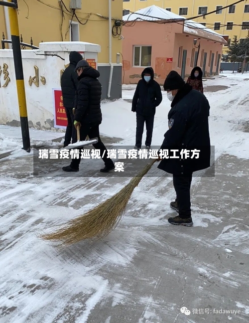 瑞雪疫情巡视/瑞雪疫情巡视工作方案