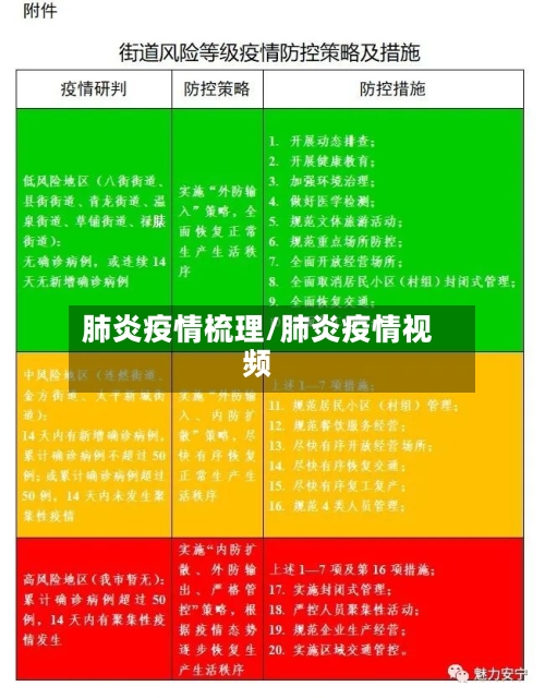 肺炎疫情梳理/肺炎疫情视频