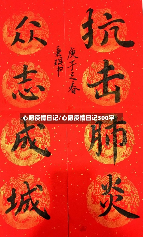 心愿疫情日记/心愿疫情日记300字-第2张图片