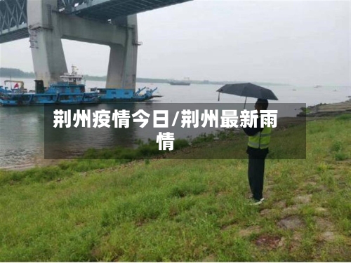 荆州疫情今日/荆州最新雨情-第2张图片