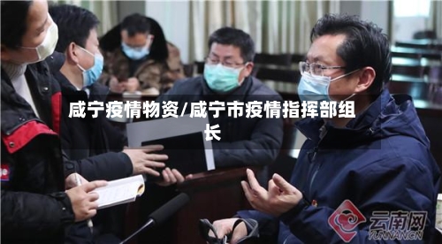 咸宁疫情物资/咸宁市疫情指挥部组长
