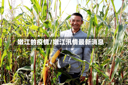 嫩江的疫情/嫩江汛情最新消息