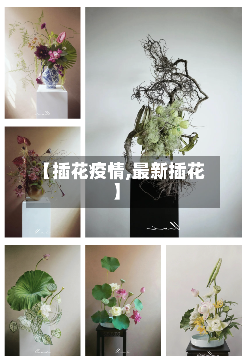 【插花疫情,最新插花】-第2张图片