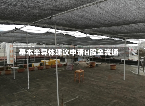 基本半导体建议申请H股全流通
