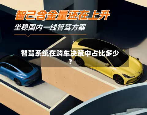 智驾系统在购车决策中占比多少?-第2张图片
