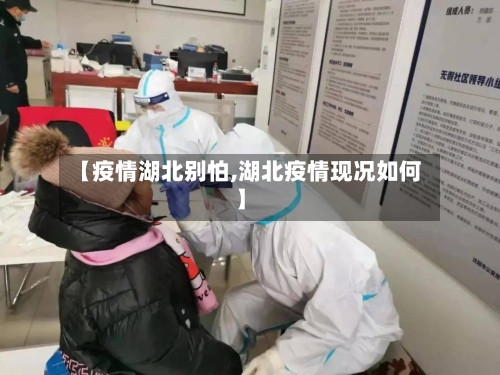 【疫情湖北别怕,湖北疫情现况如何】