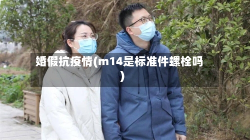 婚假抗疫情(m14是标准件螺栓吗)-第2张图片