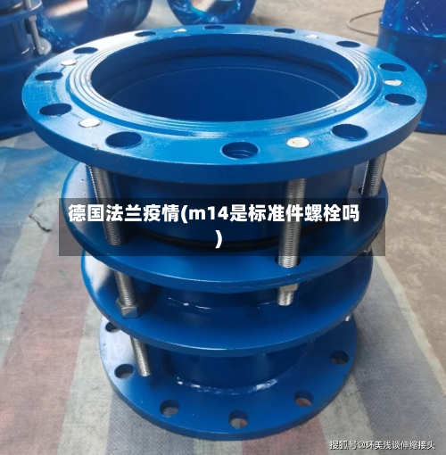 德国法兰疫情(m14是标准件螺栓吗)-第3张图片