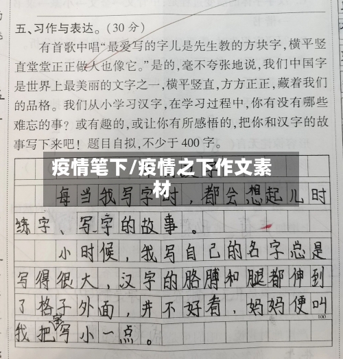 疫情笔下/疫情之下作文素材
