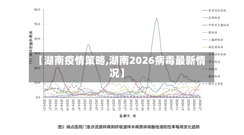【湖南疫情策略,湖南2026病毒最新情况】