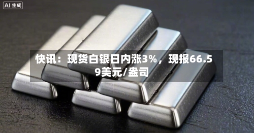 快讯：现货白银日内涨3%，现报66.59美元/盎司