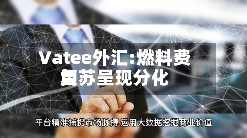 Vatee外汇:燃料费用复苏呈现分化-第3张图片