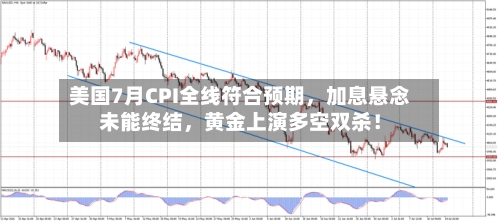 美国7月CPI全线符合预期，加息悬念未能终结	，黄金上演多空双杀！-第2张图片
