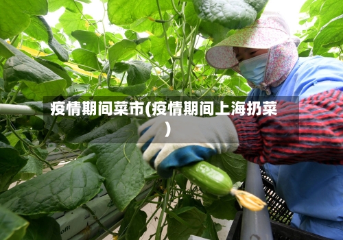 疫情期间菜市(疫情期间上海扔菜)-第3张图片