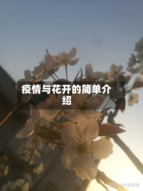 疫情与花开的简单介绍-第3张图片