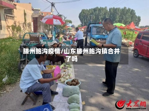 滕州鲍沟疫情/山东滕州鲍沟镇合并了吗-第3张图片