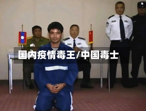 国内疫情毒王/中国毒士-第1张图片