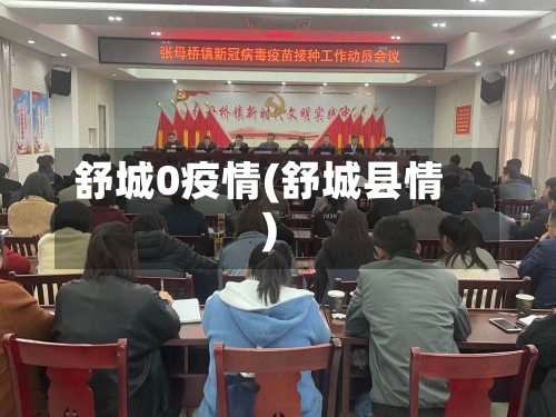 舒城0疫情(舒城县情)-第2张图片