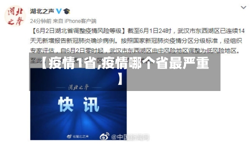 【疫情1省,疫情哪个省最严重】-第3张图片
