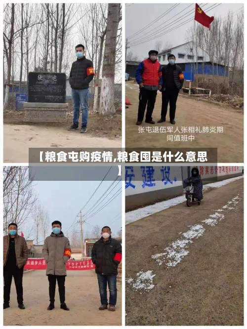 【粮食屯购疫情,粮食囤是什么意思】-第3张图片