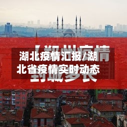 湖北疫情汇报/湖北省疫情实时动态-第2张图片