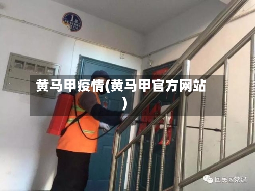 黄马甲疫情(黄马甲官方网站)-第3张图片