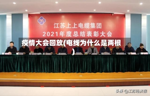 疫情大会回放(电线为什么是两根)