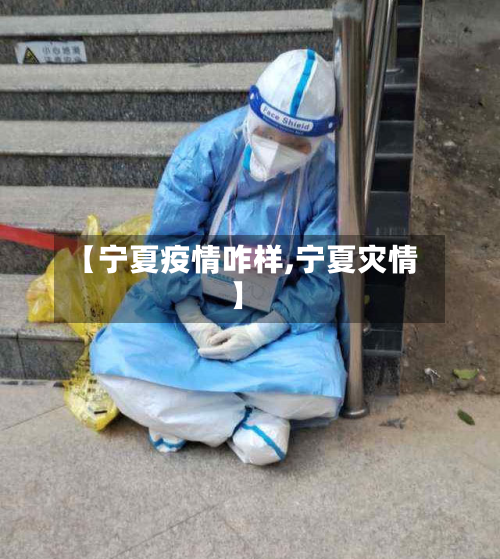 【宁夏疫情咋样,宁夏灾情】-第3张图片