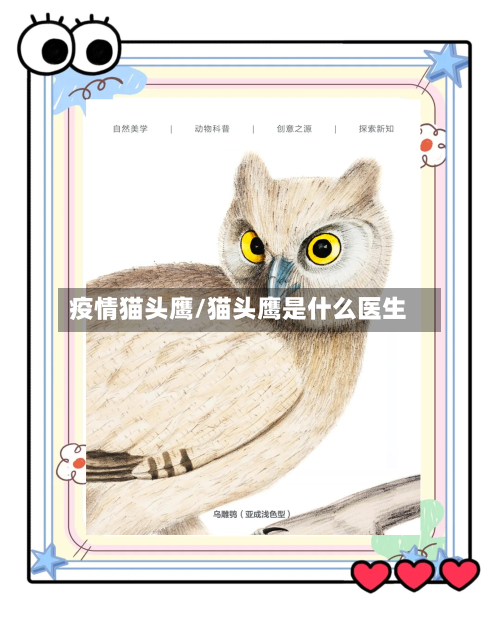 疫情猫头鹰/猫头鹰是什么医生-第2张图片
