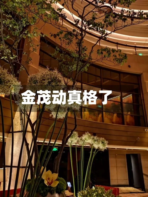 金茂动真格了-第3张图片