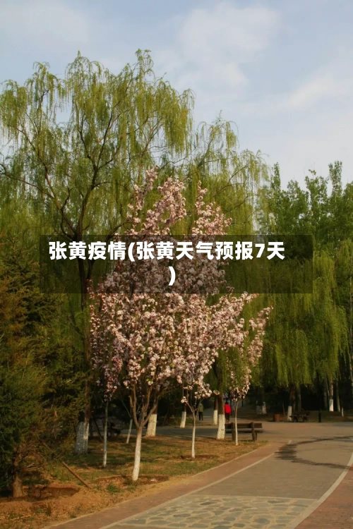 张黄疫情(张黄天气预报7天)