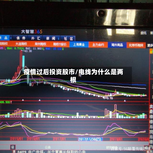 疫情过后投资股市/电线为什么是两根-第2张图片