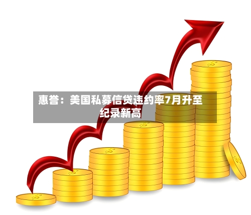 惠誉：美国私募信贷违约率7月升至纪录新高