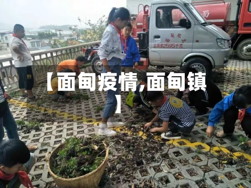 【面甸疫情,面甸镇】