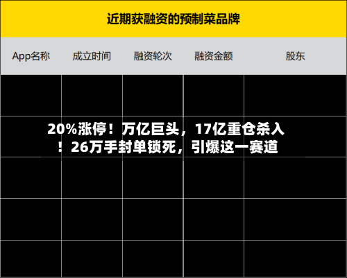 20%涨停！万亿巨头，17亿重仓杀入！26万手封单锁死，引爆这一赛道-第2张图片
