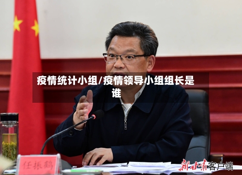 疫情统计小组/疫情领导小组组长是谁