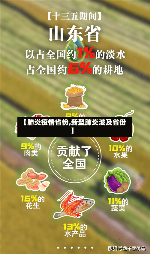 【肺炎疫情省份,新型肺炎波及省份】-第2张图片