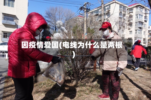 因疫情爱国(电线为什么是两根)-第2张图片