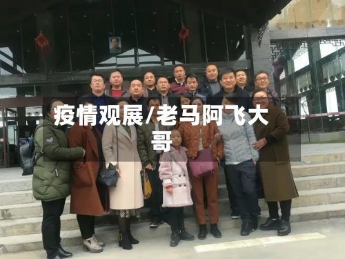 疫情观展/老马阿飞大哥-第2张图片