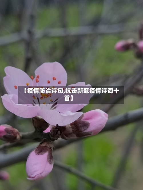 【疫情防治诗句,抗击新冠疫情诗词十首】