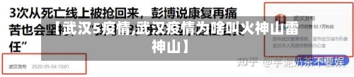 【武汉5疫情,武汉疫情为啥叫火神山雷神山】-第2张图片