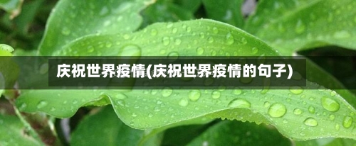 庆祝世界疫情(庆祝世界疫情的句子)-第3张图片